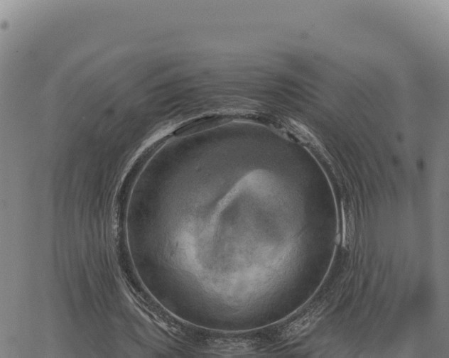 X0000063470435200601271633