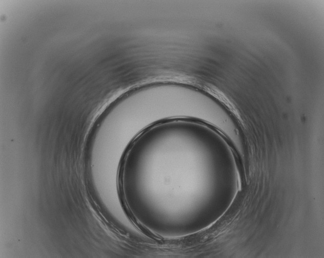 X0000063470436200601271633