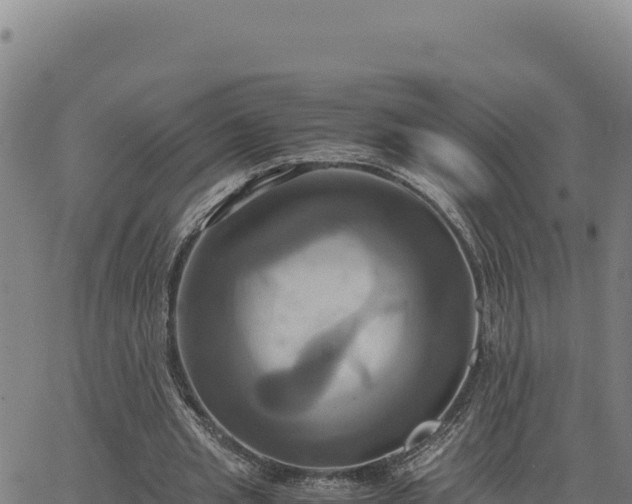 X0000063470437200601271633