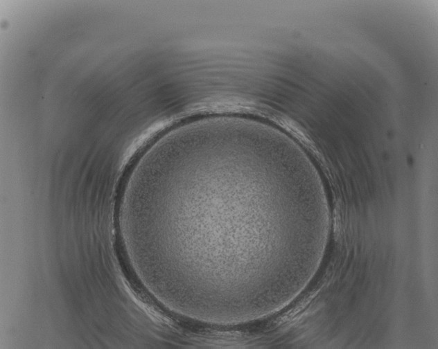 X0000063470438200601271633