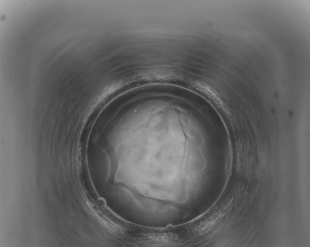 X0000063470439200601271633