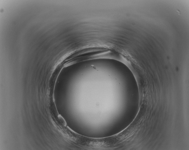 X0000063470440200601271633