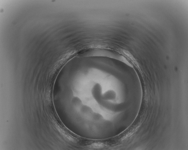 X0000063470441200601271633