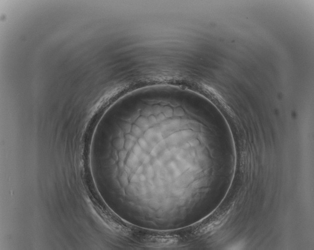 X0000063470443200601271633