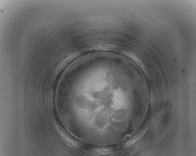 X0000063470445200601271633