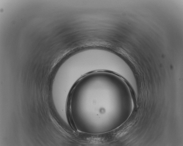 X0000063470448200601271634