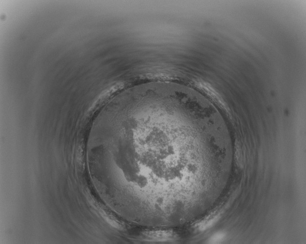 X0000063470449200601271634