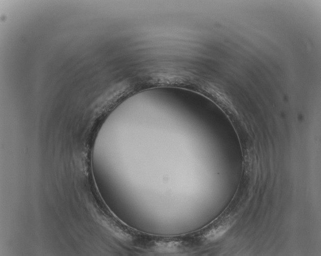 X0000063470450200601271634