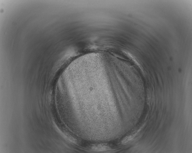 X0000063470451200601271634