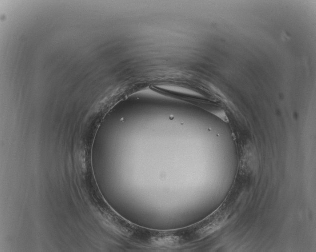 X0000063470452200601271634