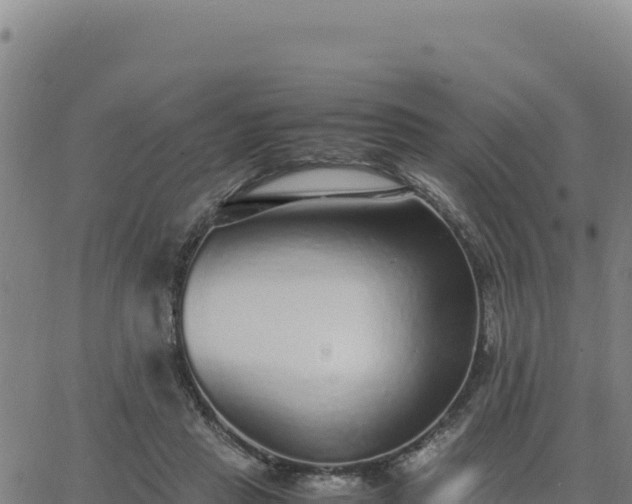 X0000063470453200601271634