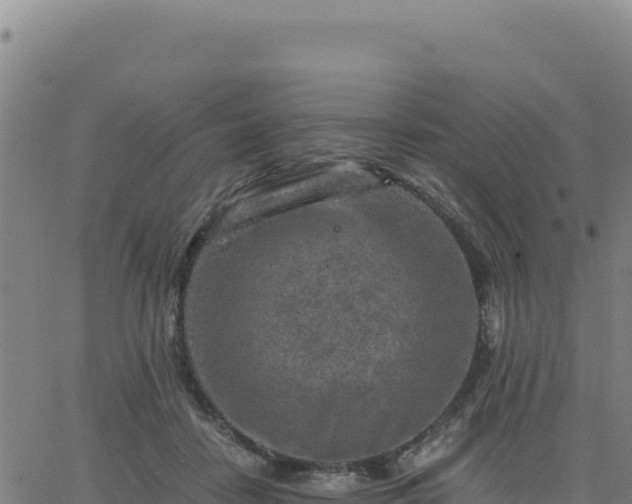 X0000063470458200601271634