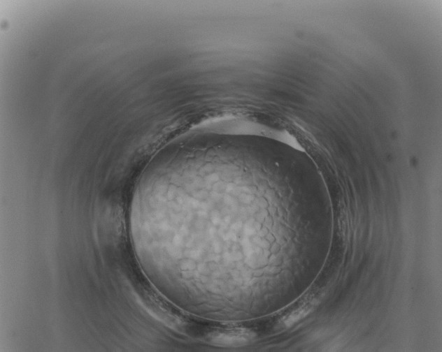 X0000063470459200601271634