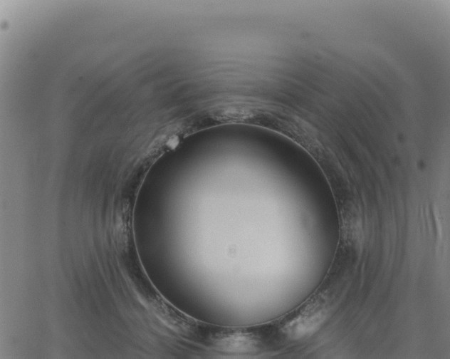 X0000063470460200601271634