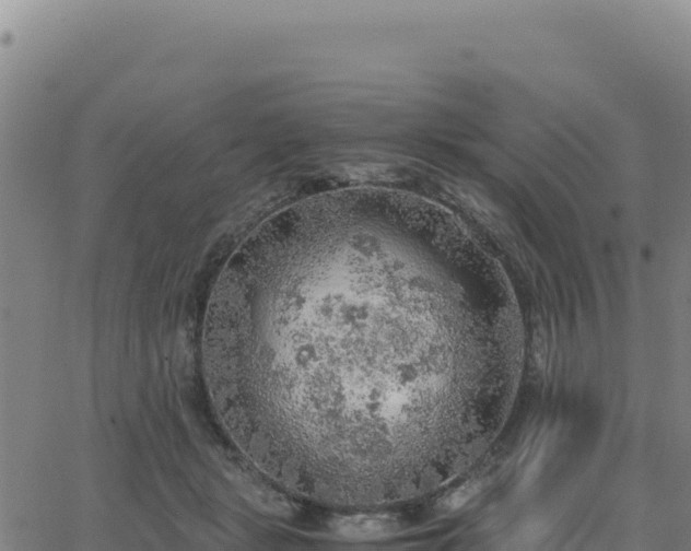 X0000063470461200601271634