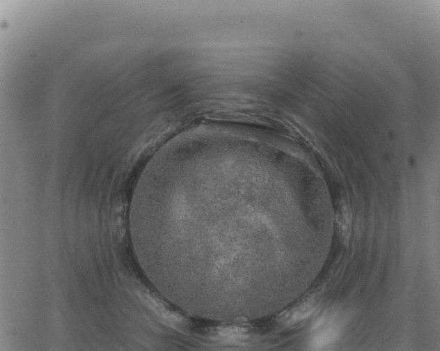 X0000063470462200601271634