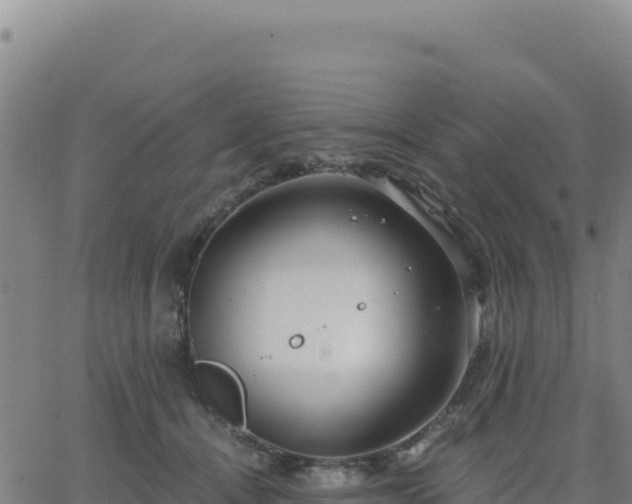 X0000063470464200601271634