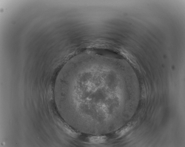 X0000063470465200601271634