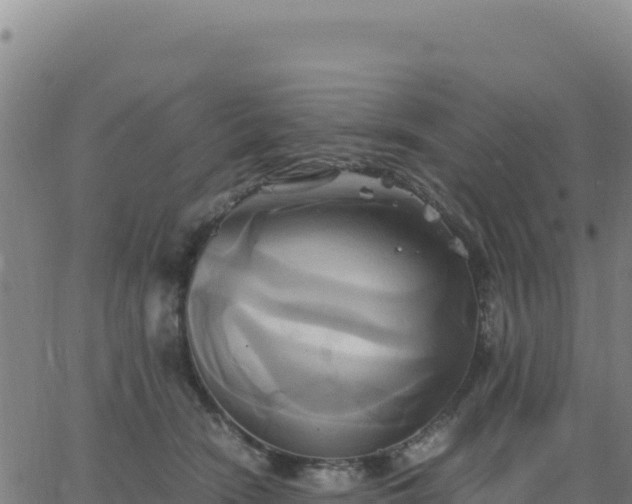 X0000063470466200601271634