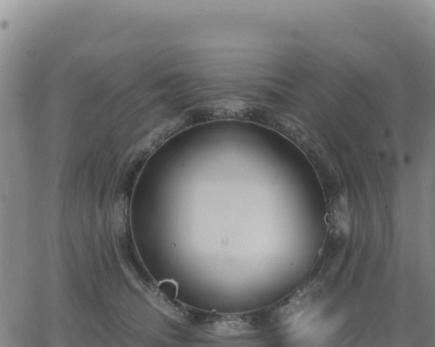 X0000063470468200601271634