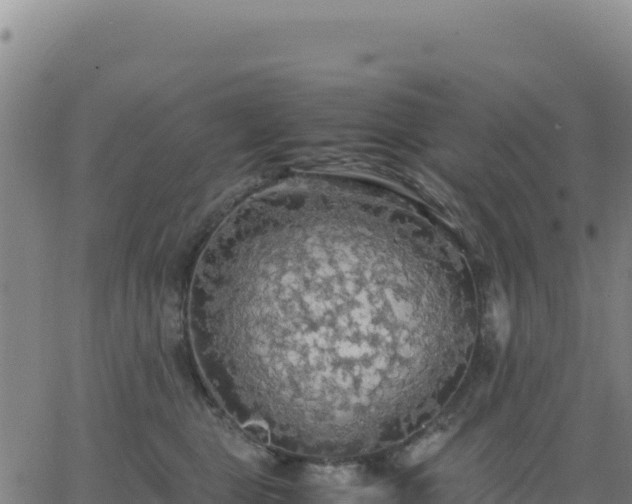 X0000063470469200601271634