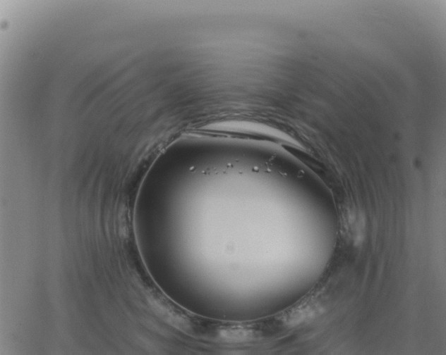 X0000063470470200601271634