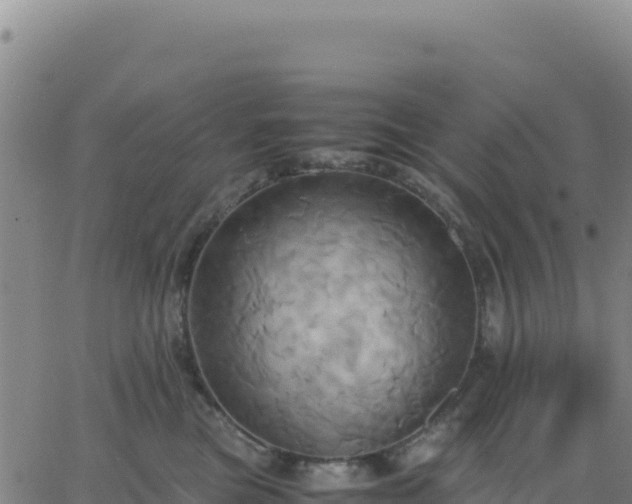 X0000063470473200601271634