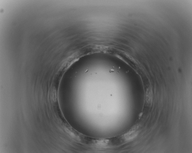 X0000063470474200601271634