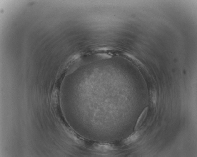 X0000063470475200601271634