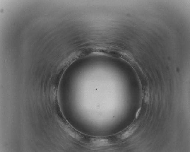 X0000063470476200601271634