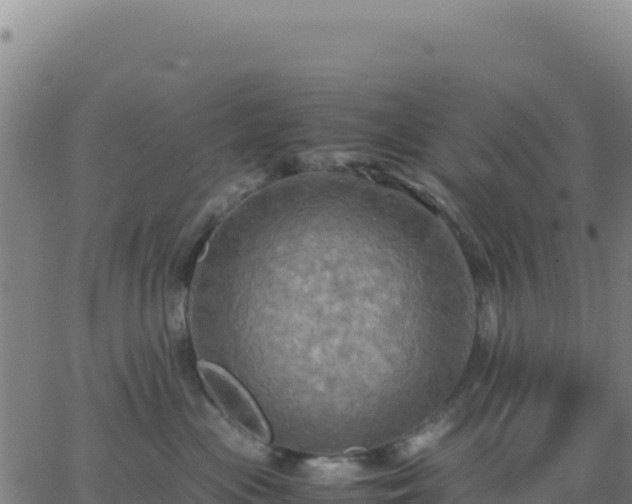 X0000063470477200601271634