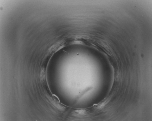 X0000063470478200601271634