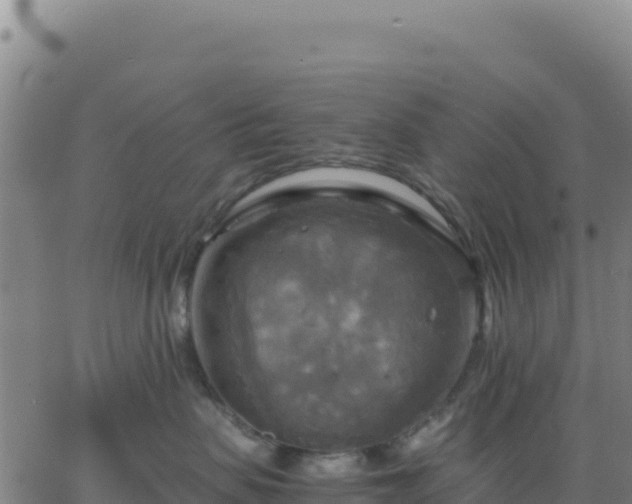 X0000063470479200601271634