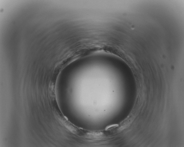 X0000063470480200601271634