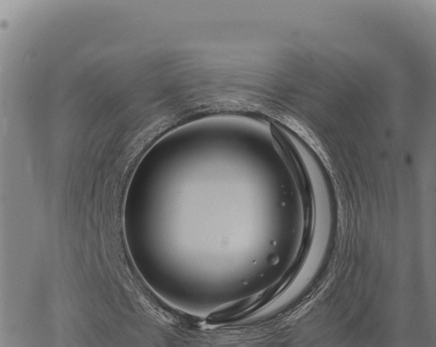 X0000063470481200601271633