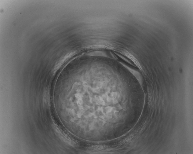 X0000063470482200601271633