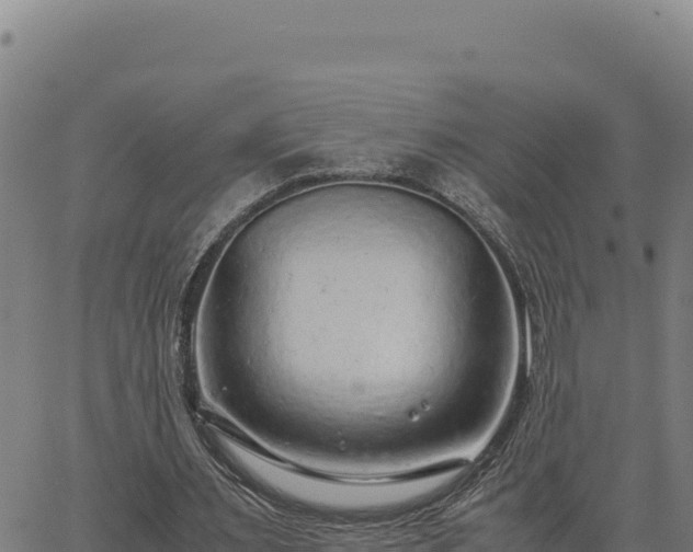 X0000063470483200601271633