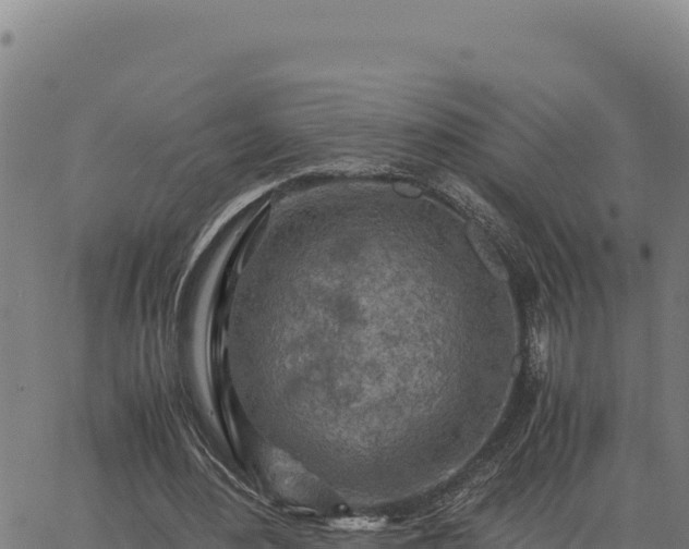 X0000063470484200601271633