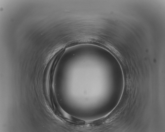 X0000063470485200601271633