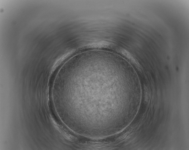 X0000063470486200601271633