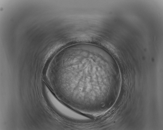 X0000063470487200601271633