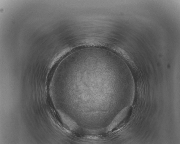 X0000063470488200601271633