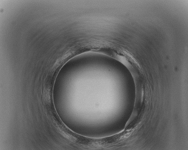 X0000063470489200601271633