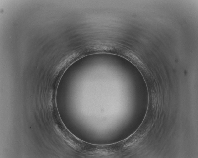 X0000063470490200601271633