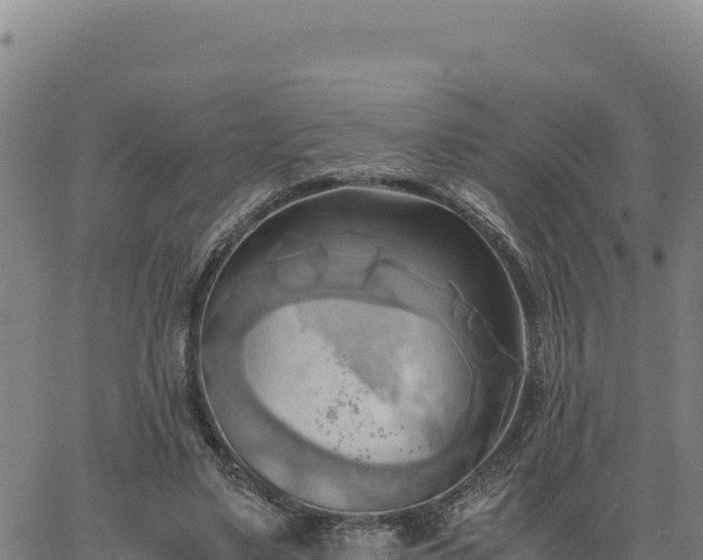 X0000063470491200601271633