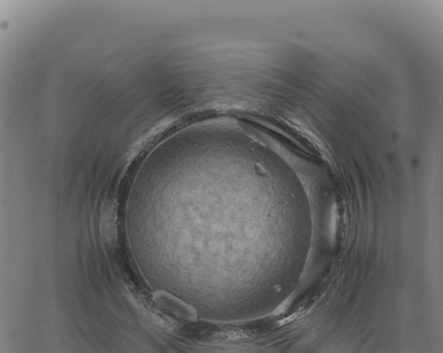 X0000063470492200601271633