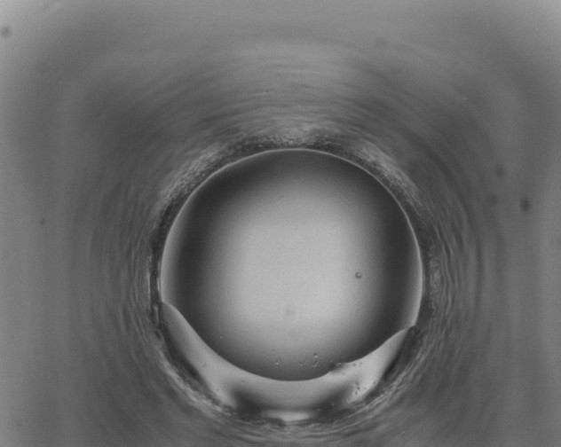 X0000063470493200601271633