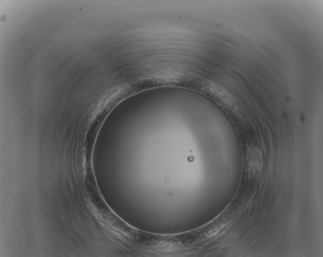 X0000063470494200601271633