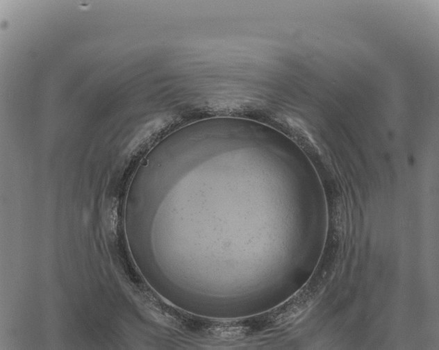 X0000063470495200601271633