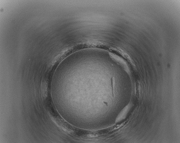 X0000063470496200601271633